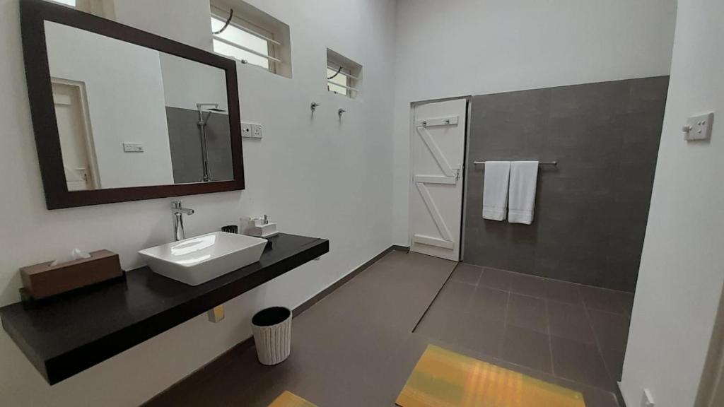 La salle de bains est pourvue d'un lavabo, d'un miroir et d'une douche. dans l'établissement Chaleni Villa, à Bentota