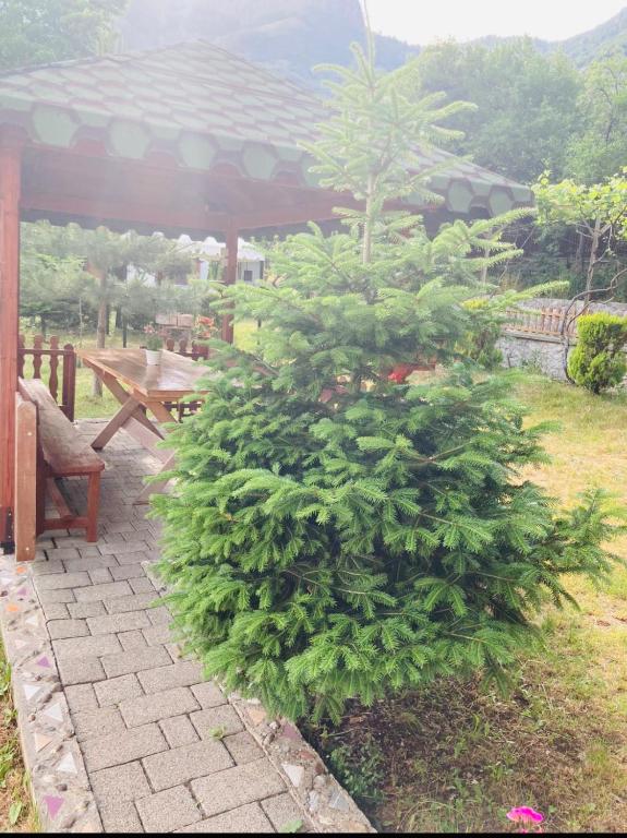 Zahrada ubytování Paja Guesthouse - Camping