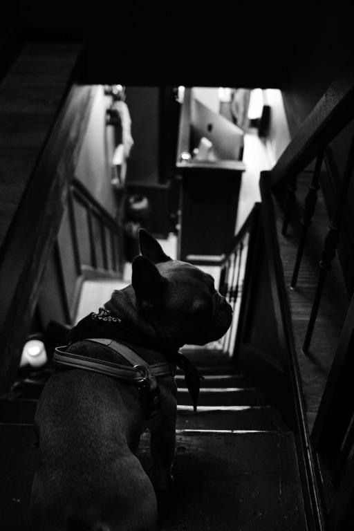 Boutique Hotel & Restaurant Frenchie - Resim 9