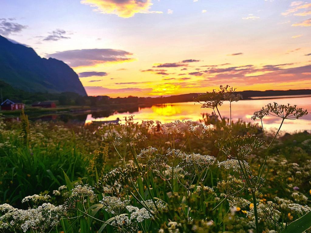 a sunset over a body of water with flowers at Lite hus ved sjøen 