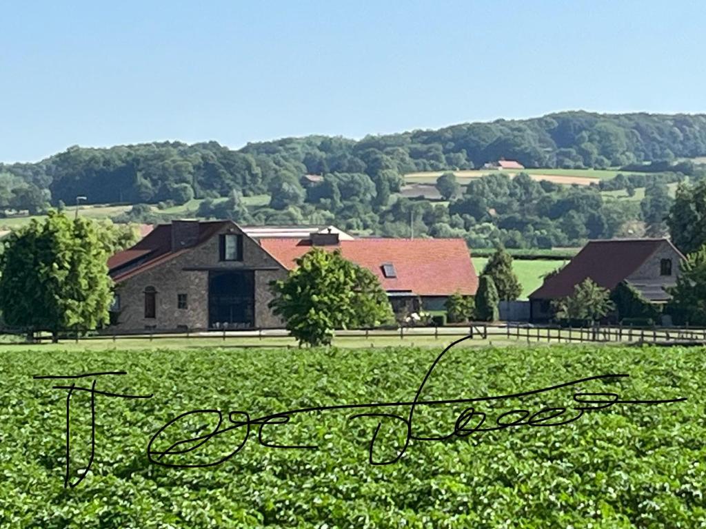 a farm with a house and a field of grass at B&amp;B - Ter Douve in Dranouter