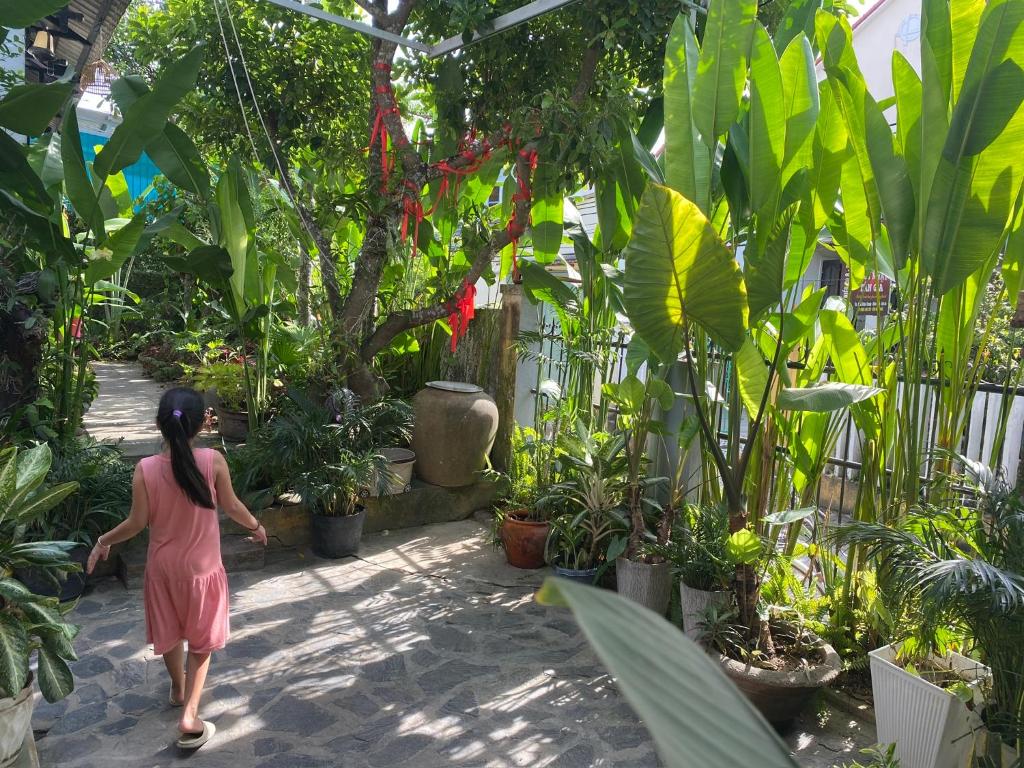Zahrada ubytování Hoi An Sunny Garden