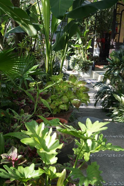 Zahrada ubytování Hoi An Sunny Garden