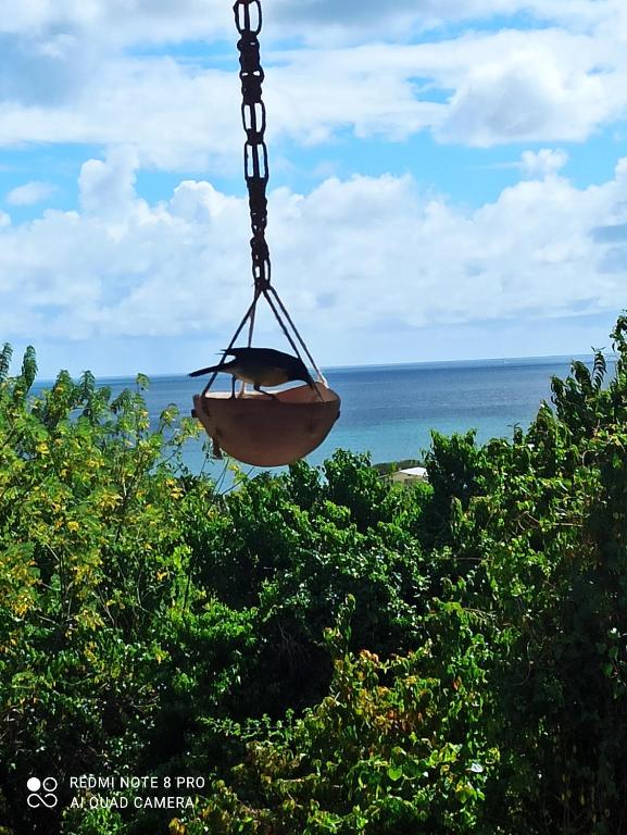 Bambou, SainteLuce (updated prices 2024)