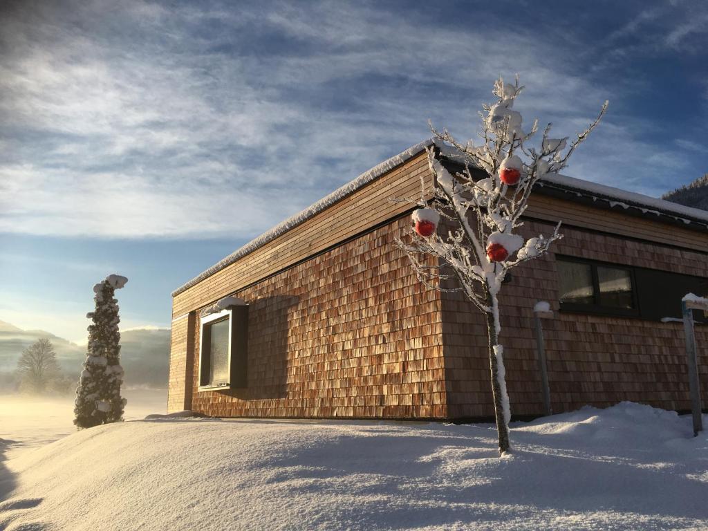 ein kleiner Baum im Schnee neben einem Gebäude in der Unterkunft Stoaberg Lodge in Sankt Ulrich am Pillersee