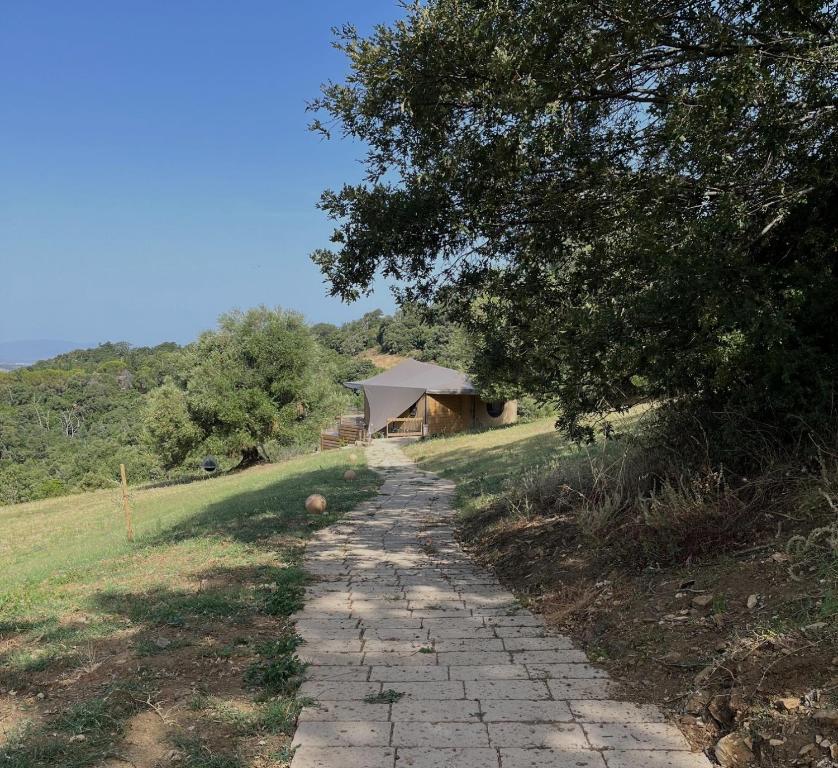 Příroda nedaleko luxury tent