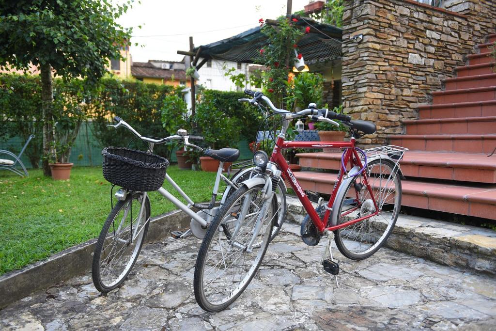 Jízda na kole v ubytování Lucca Summer Festival Kododo in Tuscany nebo okolí