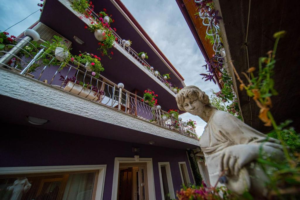 Zahrada ubytování Negrean Residence