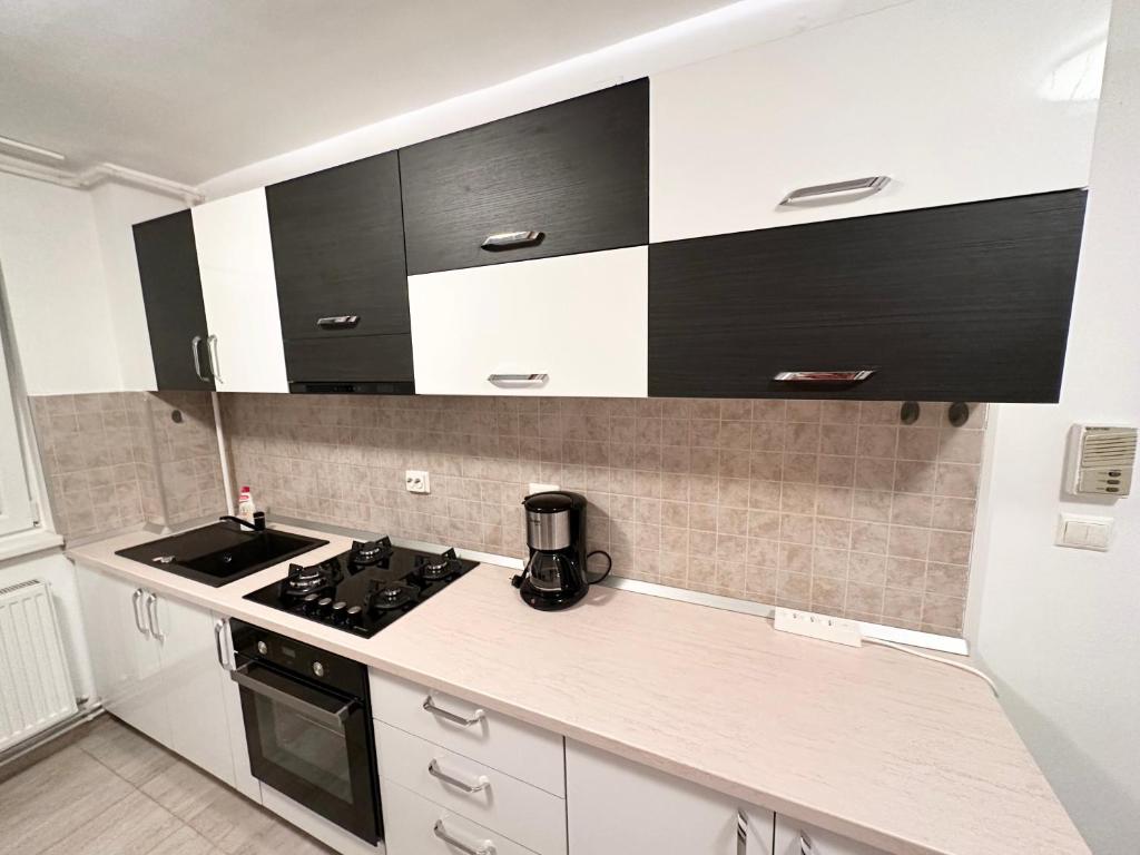 ADG 2 - Apartament cu 3 camere Timisoara