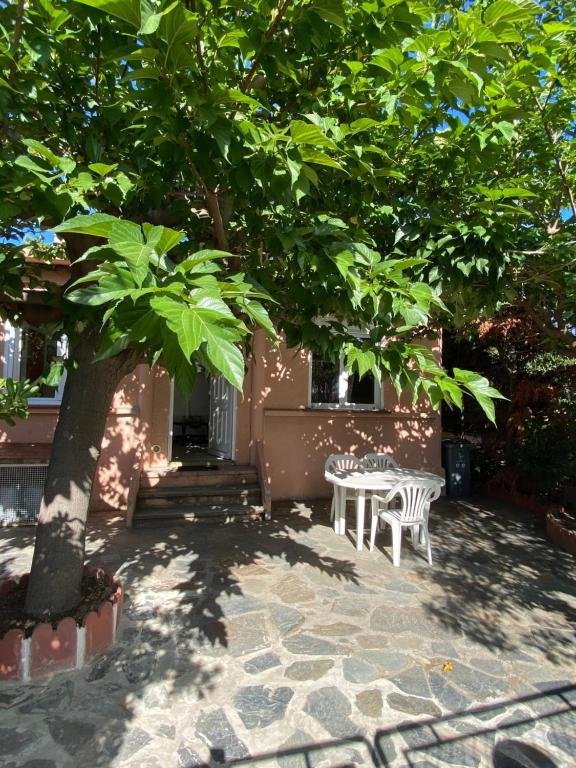 アルジェレス・シュル・メールにあるLes Ondinesの木の下にテーブルと椅子のあるパティオ