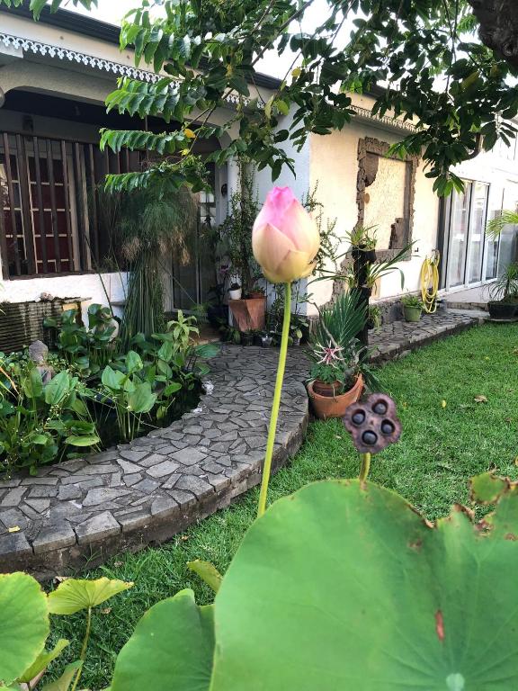 Zahrada ubytování Ti Kaz Lo Ker chambre d'hôte chez l'habitant