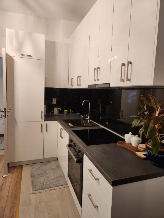 Kuchyňa alebo kuchynka v ubytovaní Apartment minutes away from the beach