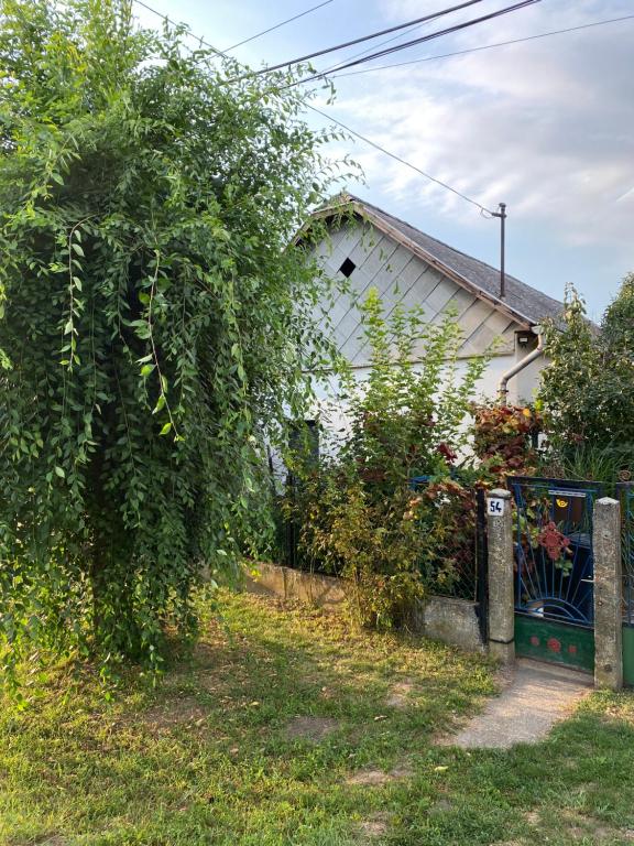 ein weißes Haus mit einem Baum davor in der Unterkunft Emese Vendégház in Tiszafüred