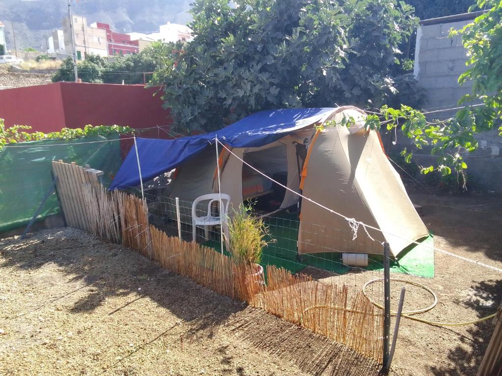 un gallinero con una cubierta azul en un jardín en por ahora no aceptan en Güimar