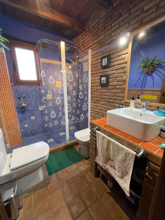 een badkamer met een wastafel, een toilet en een douche bij Casa Rural Zinho in Arenas