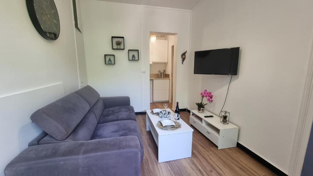 ein Wohnzimmer mit einem lila Sofa und einem TV in der Unterkunft Joli T2 COEUR de Lille in Lille