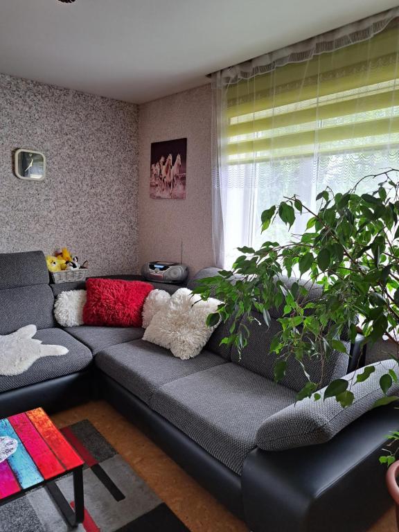 a living room with a couch and a plant at Metsakodu 12 in Tõrva