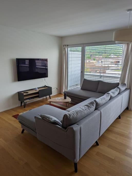ein Wohnzimmer mit einem Sofa und einem Flachbild-TV in der Unterkunft Modern Roof-Top with Terrace & View in Zürich