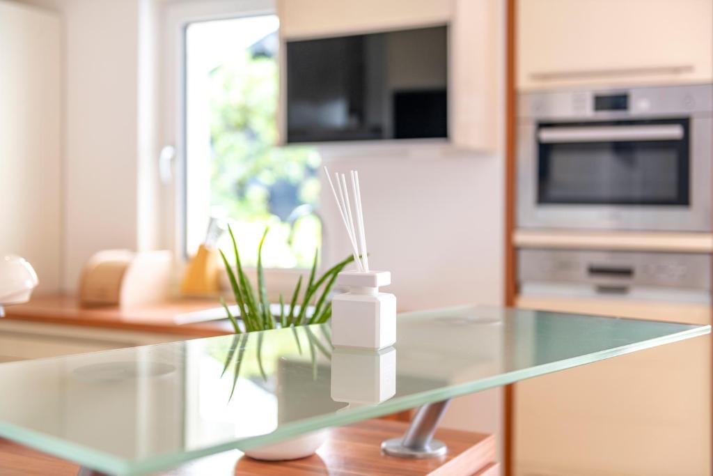 Kuchyň nebo kuchyňský kout v ubytování Traunstein Apartment Aleksandra