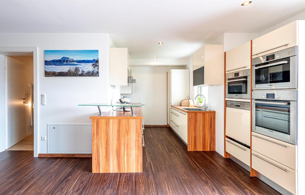 Kuchyň nebo kuchyňský kout v ubytování Traunstein Apartment Aleksandra