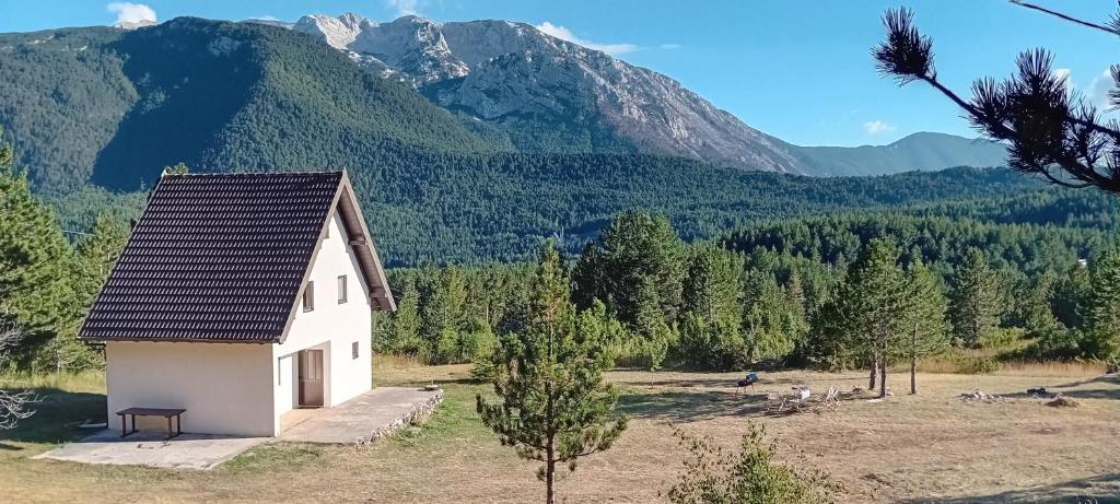 una pequeña casa blanca con montañas en el fondo en Mountain House Vinko, en Blidinje