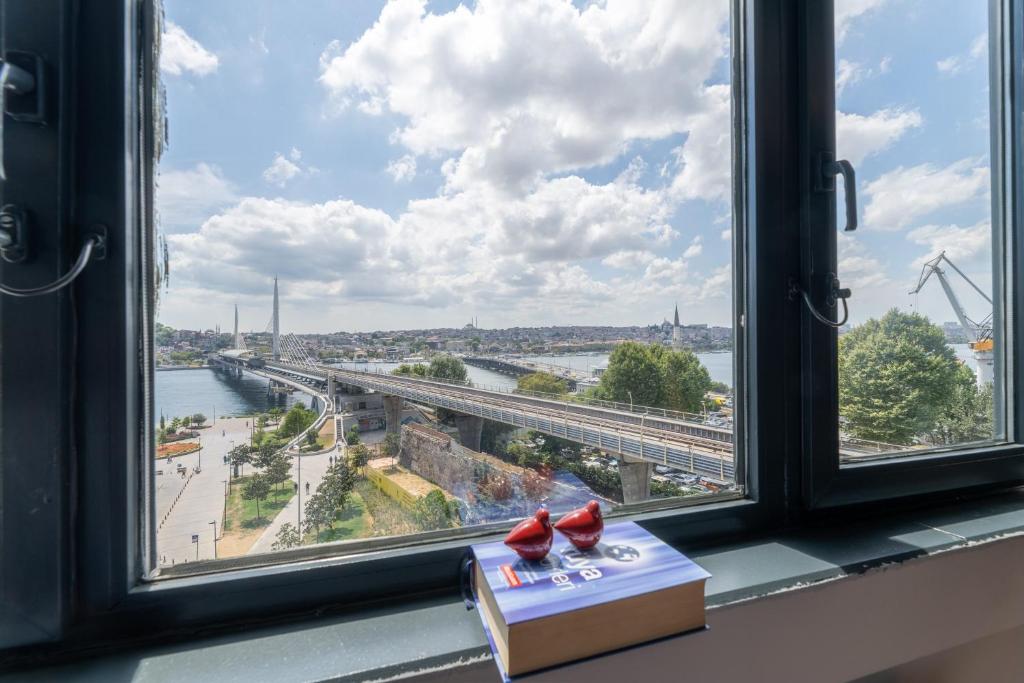 ein Fenster mit zwei Vögeln, die auf einem Buch sitzen in der Unterkunft The Han Residence Haliç in Istanbul