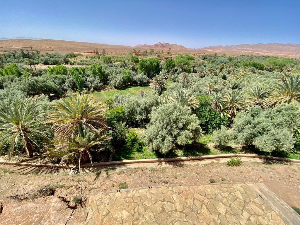 una vista aérea de un desierto con palmeras en Les chandelles, en Tinerhir