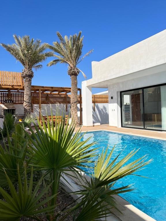 une villa avec des palmiers et une piscine dans l'établissement Villa de luxe sans vis-à-vis à 2 min de la plage, à Djerba