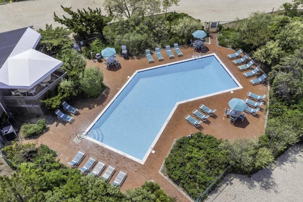 Bassein majutusasutuses Unit 822 Ocean Colony Beach või selle lähedal