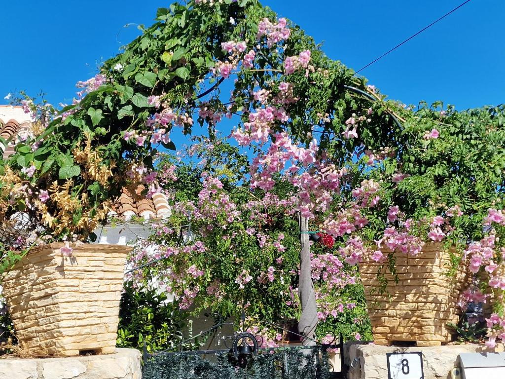 A garden outside Villa Aurica