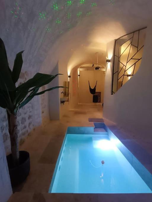 - une piscine dans une pièce avec une plante dans l'établissement Appartement avec jacuzzi, à Saint-Maximin-la-Sainte-Baume