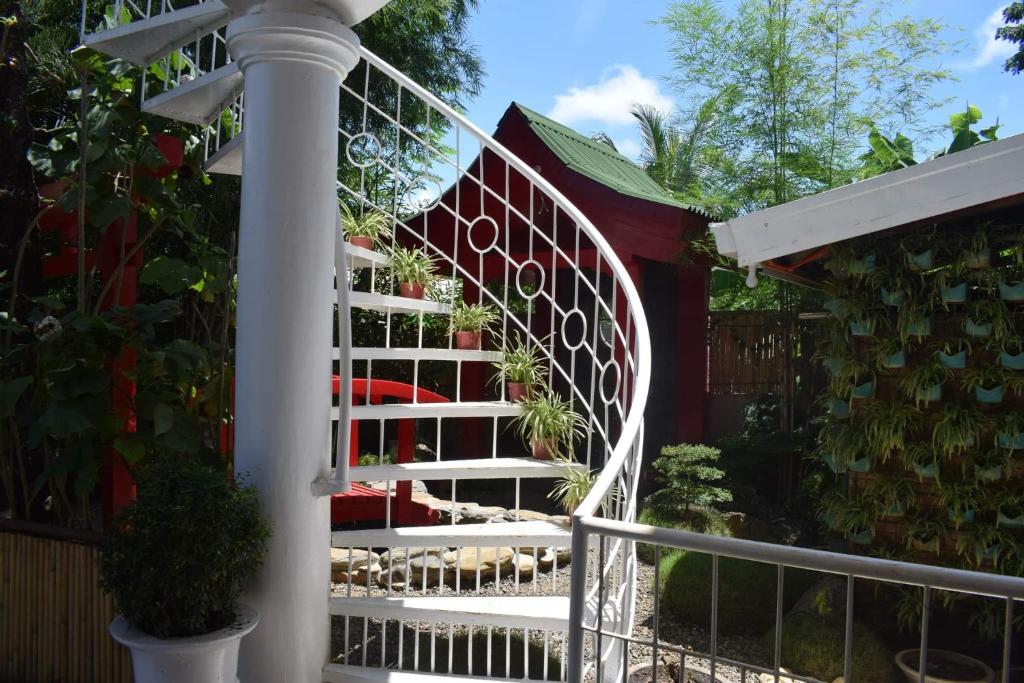Zahrada ubytování Orokasa Guesthouse