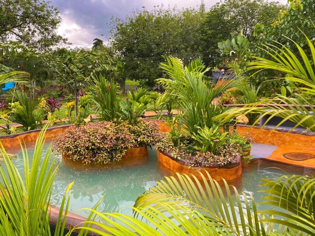 a garden with a pond with potted plants at Hotel Heliconias Nature Inn & Hot Springs in Fortuna