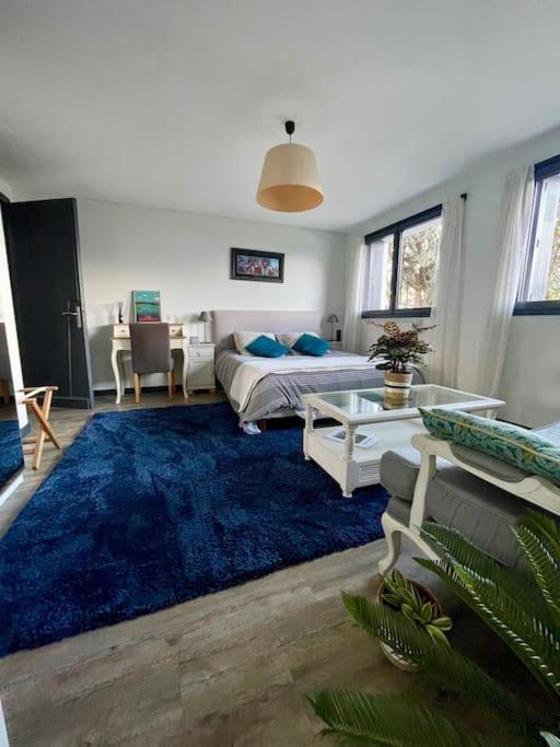 - une chambre avec un lit et un tapis bleu dans l'établissement Appartement indépendant 30 m² à 500m du lac, 2 vélos et parking fournis, à Sévrier