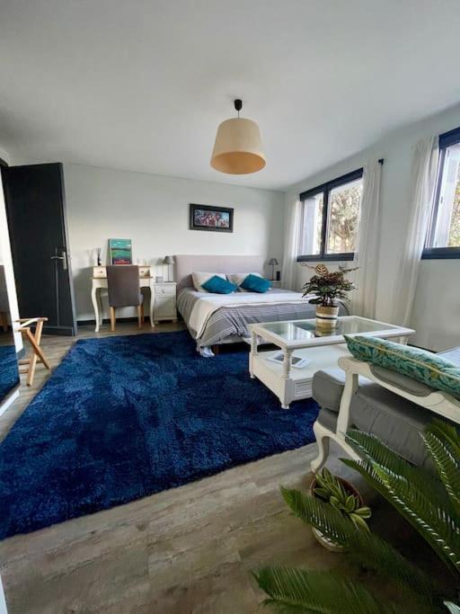 a bedroom with a bed and a blue rug at Appartement indépendant 30 m² à 500m du lac, 2 vélos et parking fournis in Sévrier