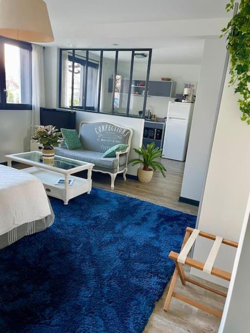 a living room with a couch and a blue rug at Appartement indépendant 30 m² à 500m du lac, 2 vélos et parking fournis in Sévrier
