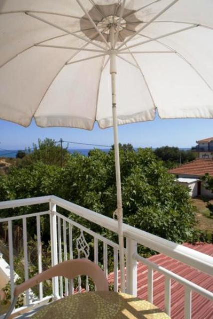 Příroda nedaleko apartmánu