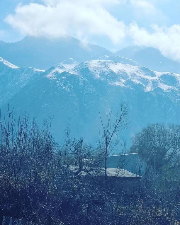 Домик Светланы - 双人间与山景