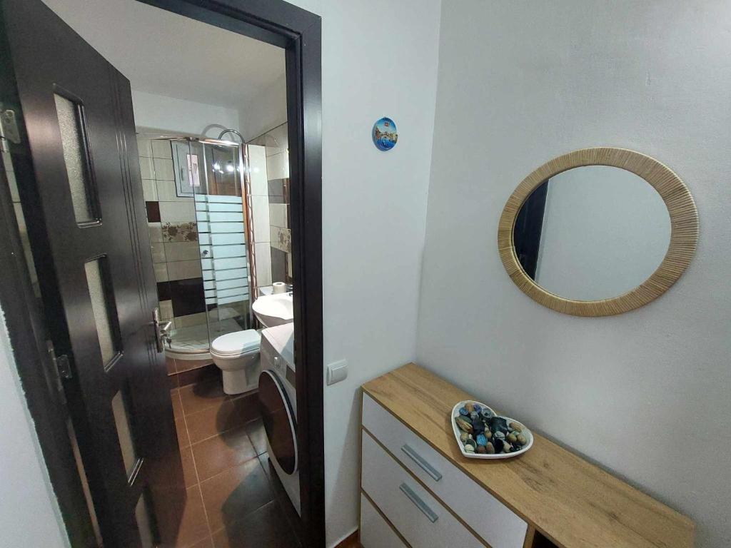 La salle de bains est pourvue d'un miroir, d'un lavabo et de toilettes. dans l'établissement Eugenia Apartament, à Ploieşti