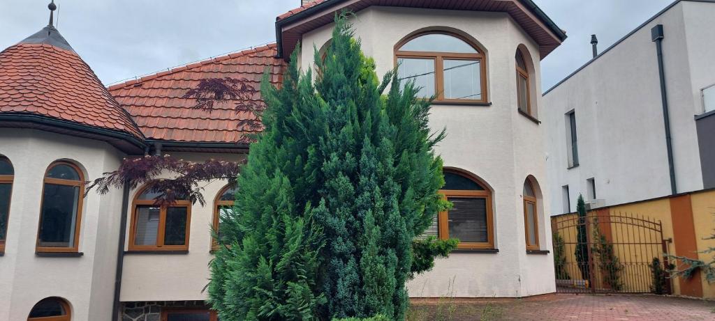 a large pine tree in front of a house at Rodinný apartmán Alma in Bojnice