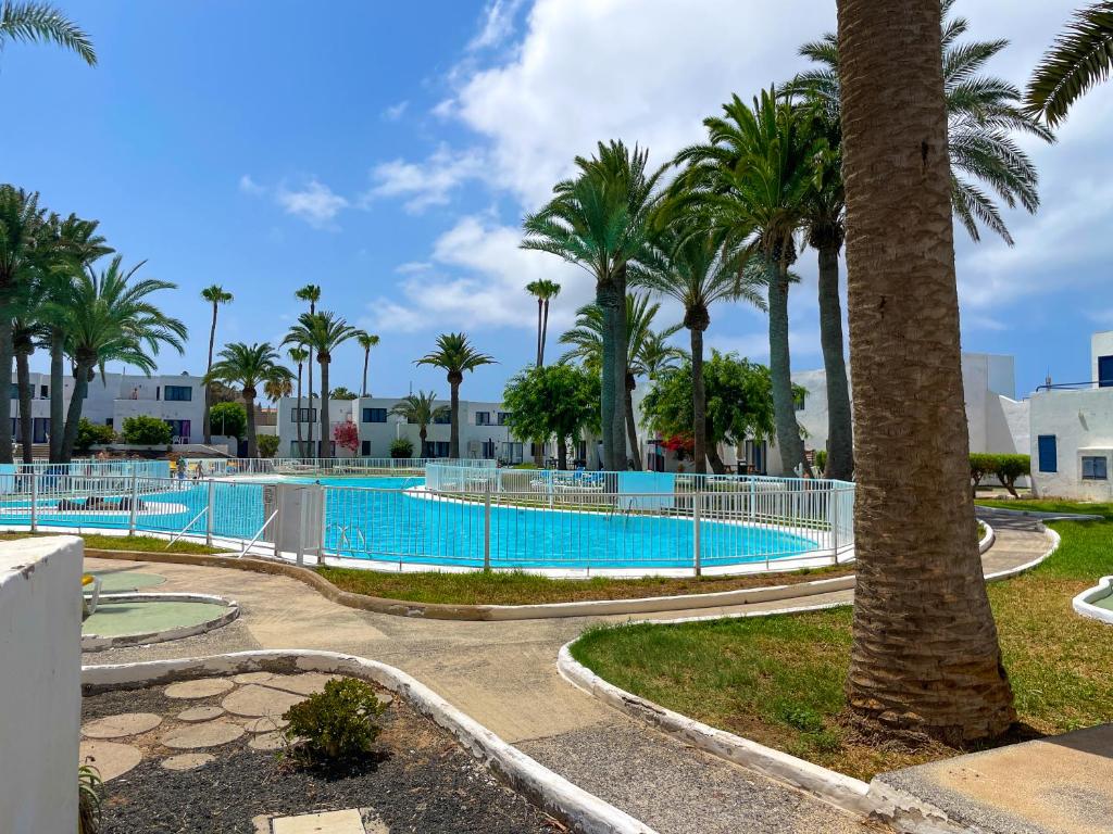 een zwembad met palmbomen in een resort bij Los Barqueros 23 by Best Holidays Fuerteventura in Corralejo