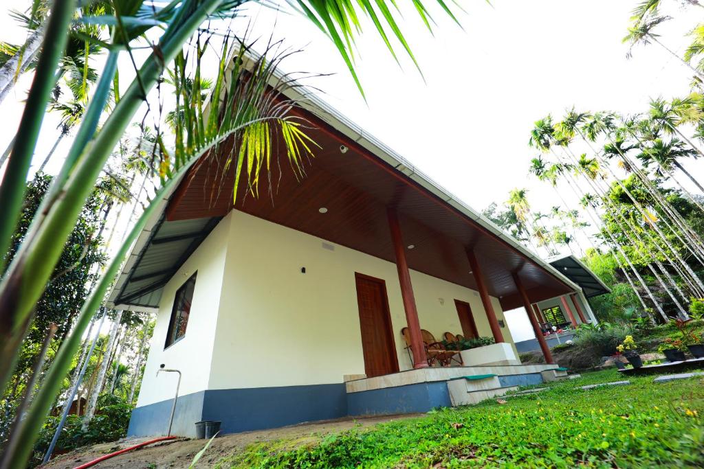 una casa bianca e blu con una palma di Cave Valley Wayanad ad Ambalavayal