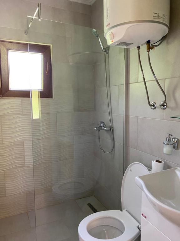 een badkamer met een douche, een toilet en een wastafel bij Farmstead Green Haven in Mojkovac