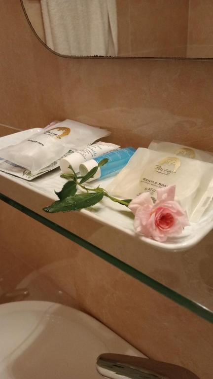 ROSAS DA GRANJA - CASA DE CAMPO - Holiday Home