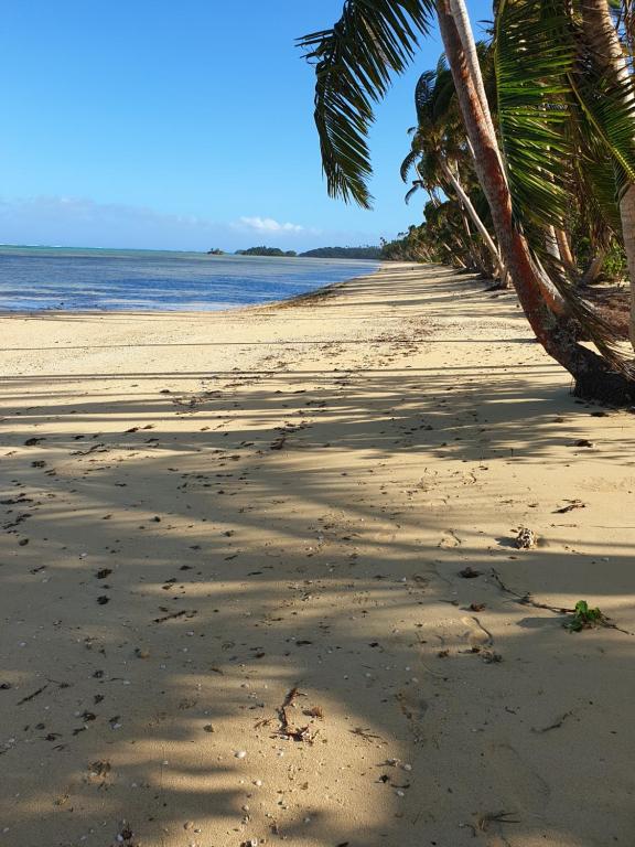 a sandy beach with palm trees and the ocean at Nabuco Estate Bure Rentals in Naweni