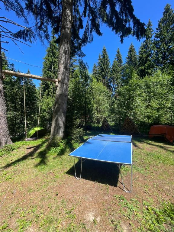 Stolní tenis v ubytování Carpatic nebo okolí