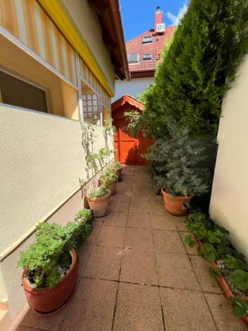 Fotografia z galérie ubytovania Sofi appartment v destinácii Hévíz