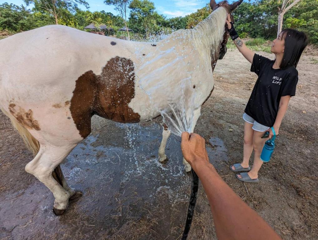 a young child is washing a horse with a hose at Bay of Stars in Ji&#39;an