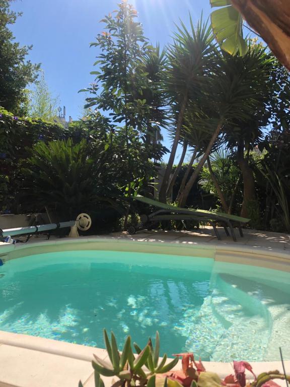 ein Pool mit Palmen im Hintergrund in der Unterkunft VILLA BEAUSEJOUR in Cannes