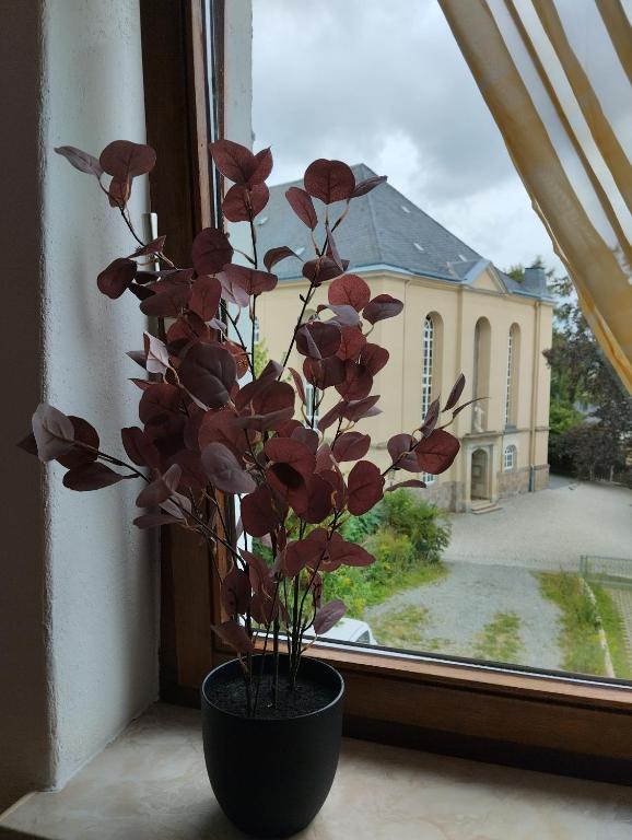 Pension Eberhart - 3